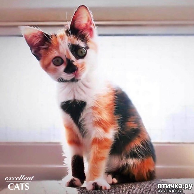 ���� 7: 7 ����� � ����� ����������� �������