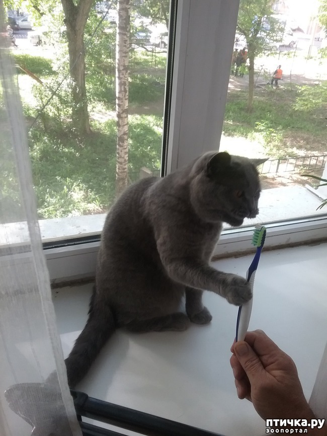 ���� 5: ������� ������ - 2