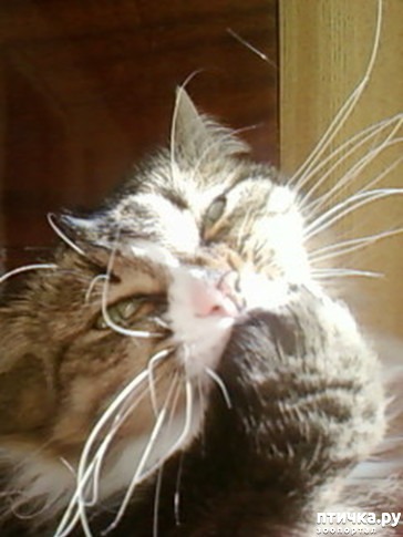 ���� 3: ������� ������ - 2