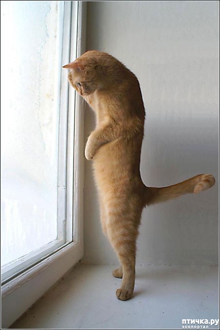 ���� 4: ������� ������ - 2