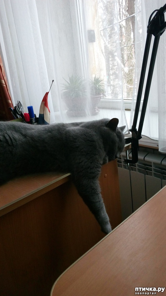 ���� 8: ������� ������ - 2