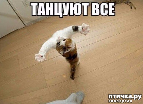 ���� 1: �����������: ��������� �����!