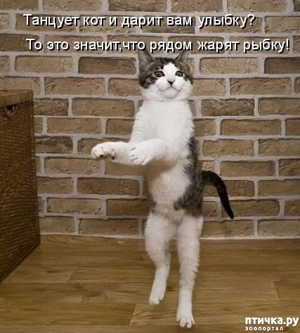 ���� 2: �����������: ��������� �����!