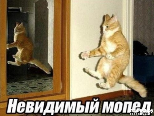 ���� 3: �����������: ��������� �����!