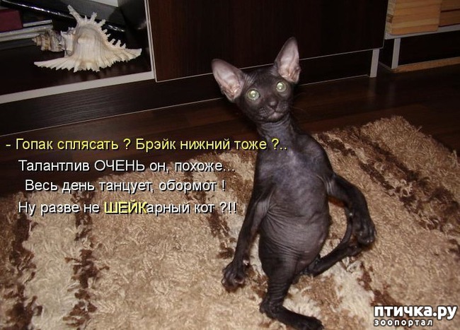 ���� 4: �����������: ��������� �����!