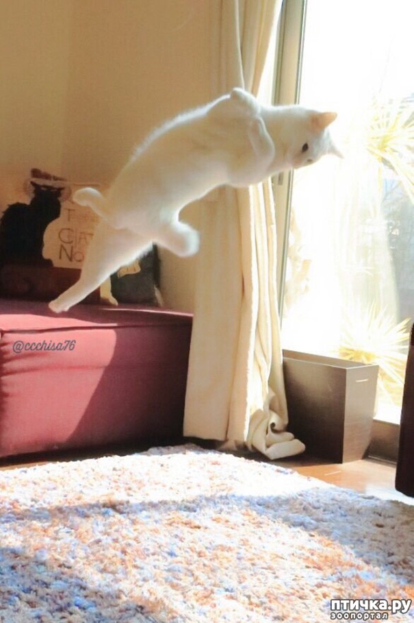 ���� 5: �����������: ��������� �����!