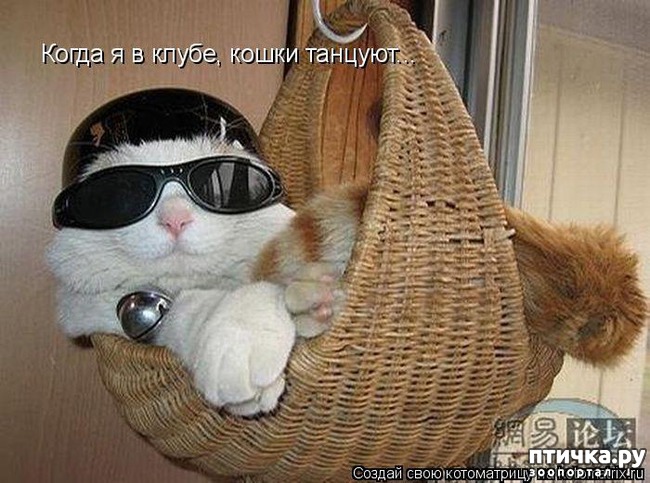 ���� 7: �����������: ��������� �����!