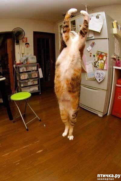 ���� 9: �����������: ��������� �����!