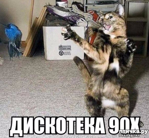 ���� 10: �����������: ��������� �����!