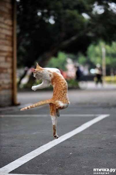 ���� 11: �����������: ��������� �����!