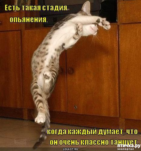 ���� 12: �����������: ��������� �����!