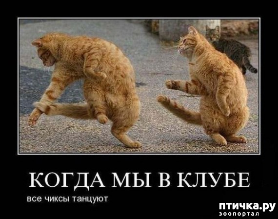 ���� 13: �����������: ��������� �����!