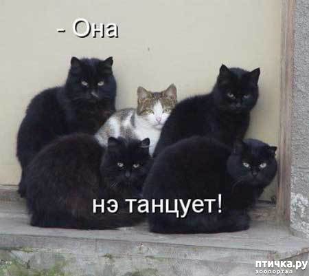 ���� 14: �����������: ��������� �����!