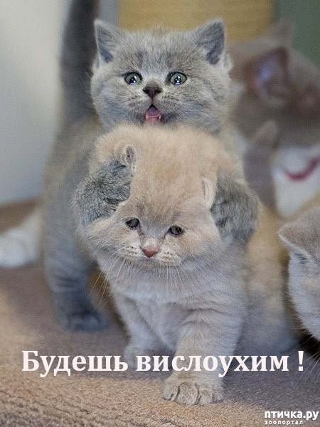 ���� 1: ������� ����