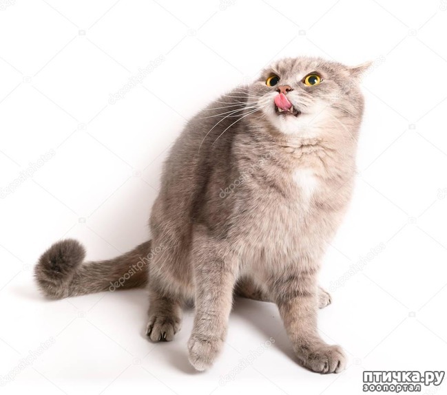  1:    