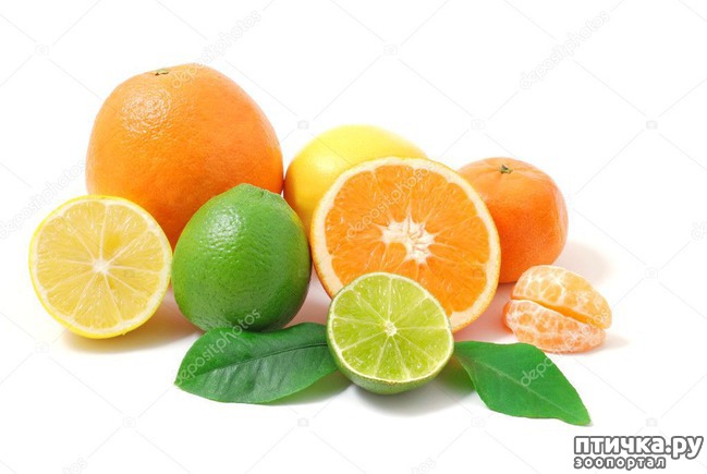  4:    