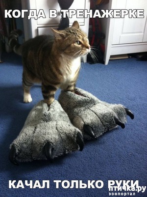 ����: "�����"