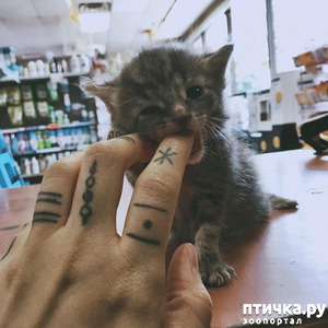 ����: ������ ��� �������� "����" ������ �� ��������!