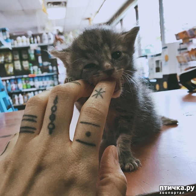 ���� 1: ������ ��� �������� 