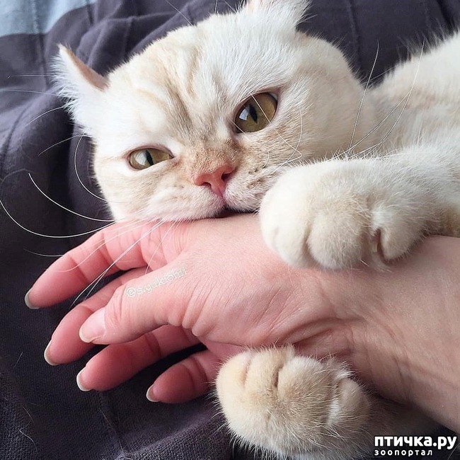 ���� 3: ������ ��� �������� 