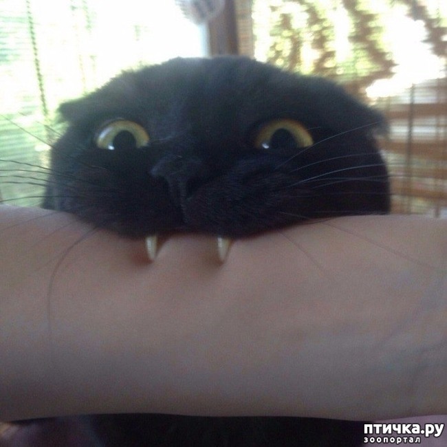 ���� 6: ������ ��� �������� 