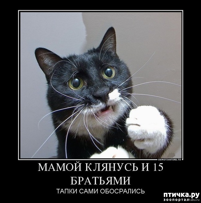 фото 8: 