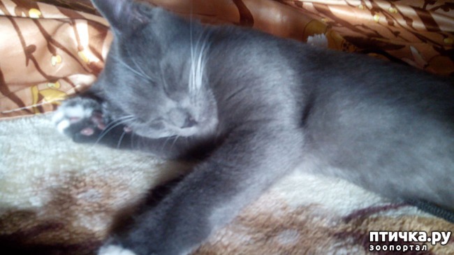 ���� 5: ���� ������� �������, ���� ����