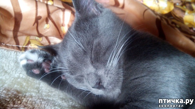 ���� 6: ���� ������� �������, ���� ����