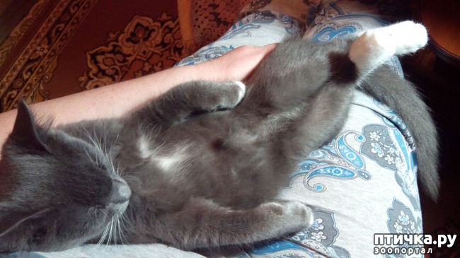 ���� 7: ���� ������� �������, ���� ����