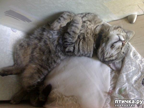 ���� 1: ��� ��� ���� �������, ������ ����� � ������� ������ ����