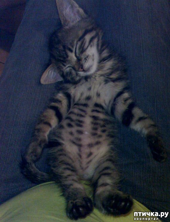 ���� 3: ��� ��� ���� �������, ������ ����� � ������� ������ ����