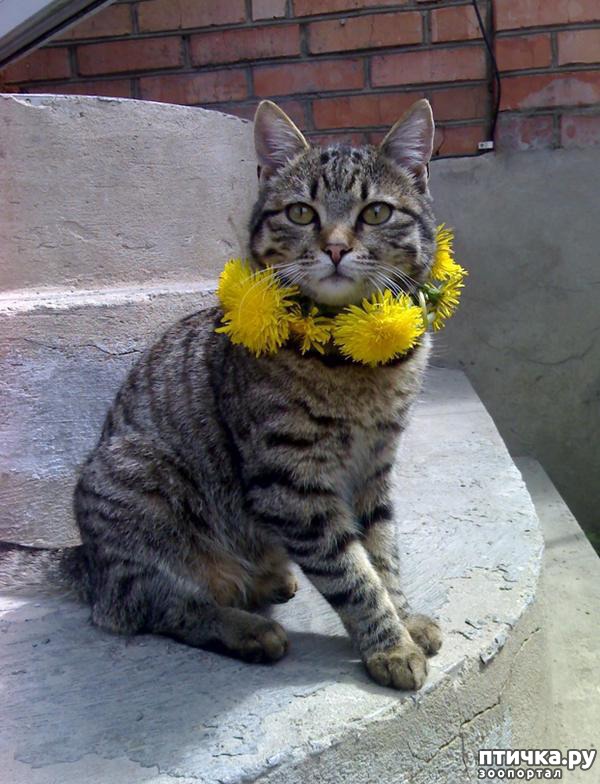 ���� 2: ��� ��� ���� �������, ������ ����� � ������� ������ ����