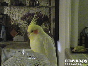 ����: ��� �������