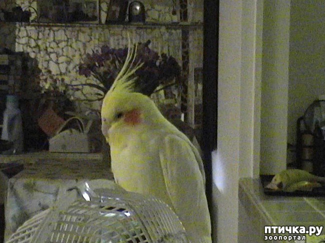 ���� 1: ��� �������