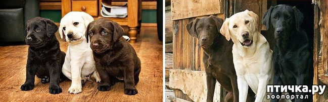 ���� 1: ���� � �����