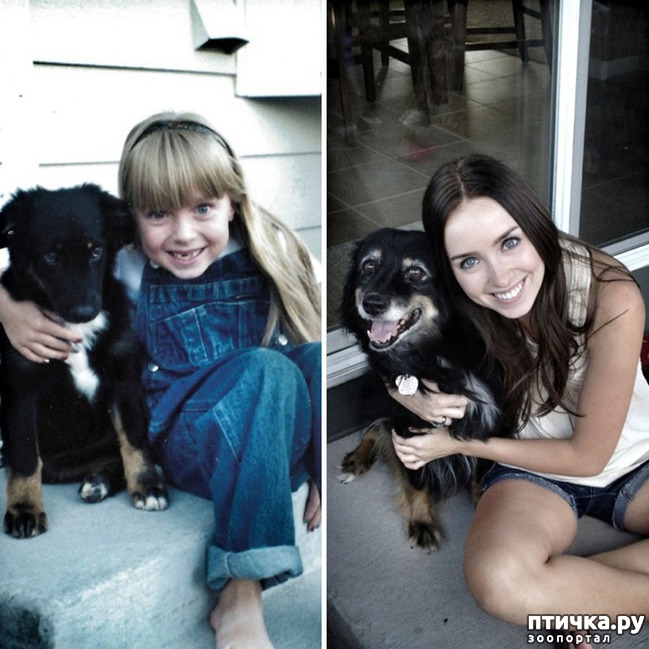 ���� 4: ���� � �����