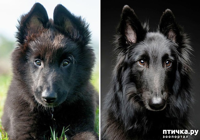 ���� 6: ���� � �����