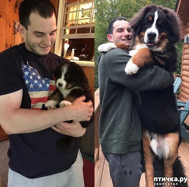 ���� 7: ���� � �����