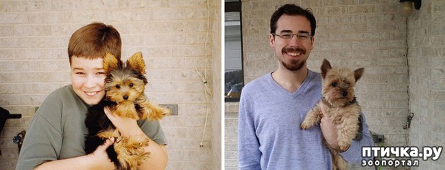 ���� 8: ���� � �����