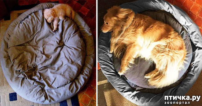 ���� 10: ���� � �����