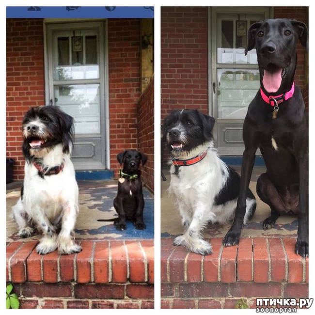 ���� 11: ���� � �����