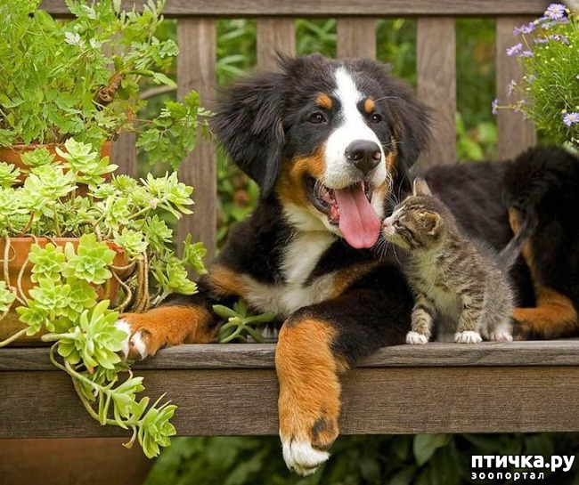 ���� 1: ������� ��� ���������� �����