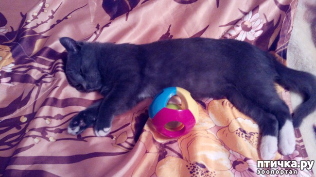 ���� 1: ���� ������� �������, ���� ����