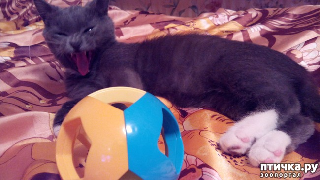 ���� 2: ���� ������� �������, ���� ����