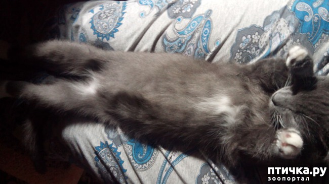 ���� 3: ���� ������� �������, ���� ����