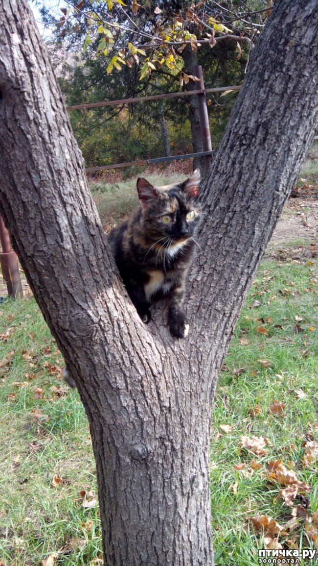 ���� 2: ��� �������� �� �����