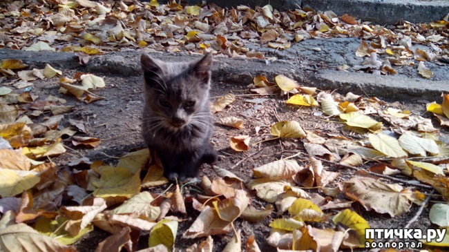 ���� 1: �� ���-�� ����