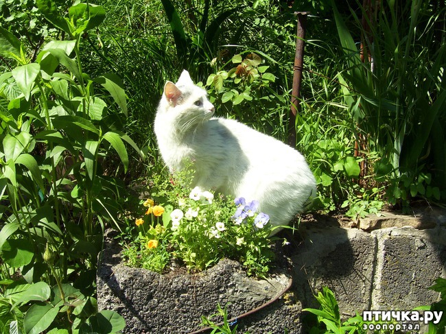 ���� 1: ������������ � ��������� ���������. ������� ������