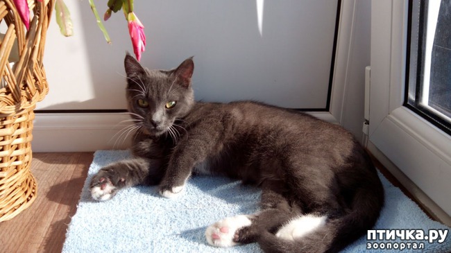 ���� 2: �� ���-�� ����