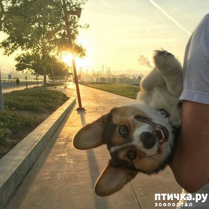 ����: ����� ���������� �����!